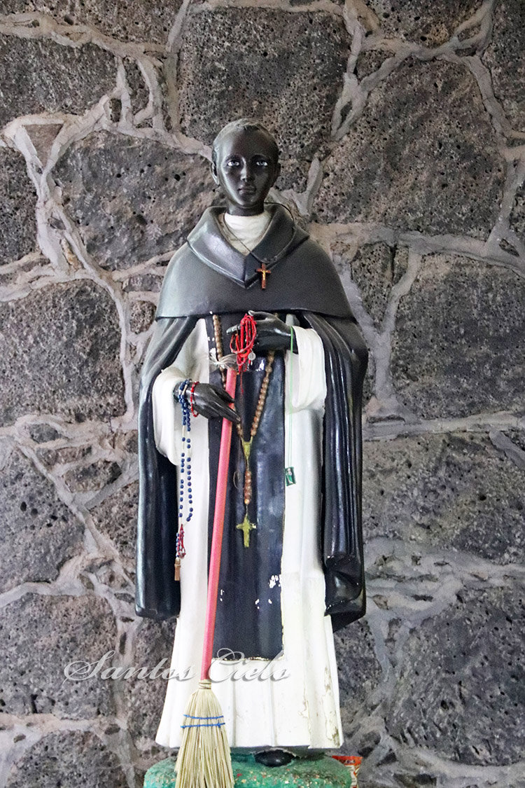 Saint Martin of Porres